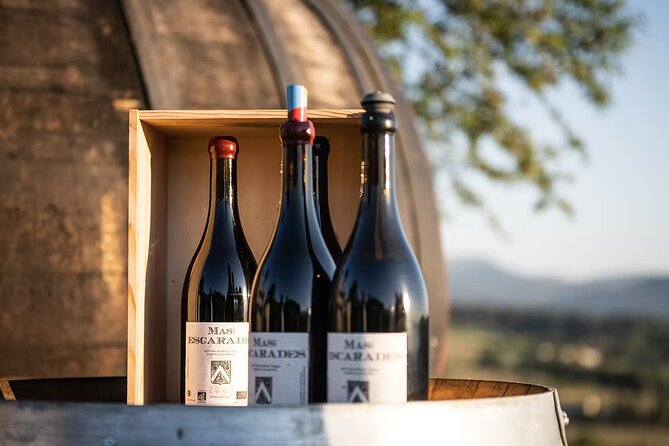 Winery visit / tasting in the vineyards, Mas des Escarades - Why the private format matters