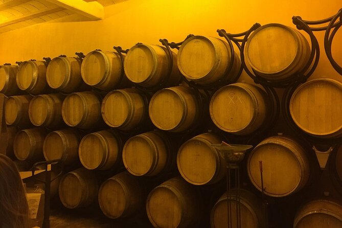 Winery Visit with Food and Wine in Carcassonne - Who Should Book This (and Who Might Skip It)