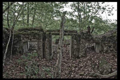 World War I Tour of Northern France; the Argonne Forest - Walking into the Argonne Forest battlefield