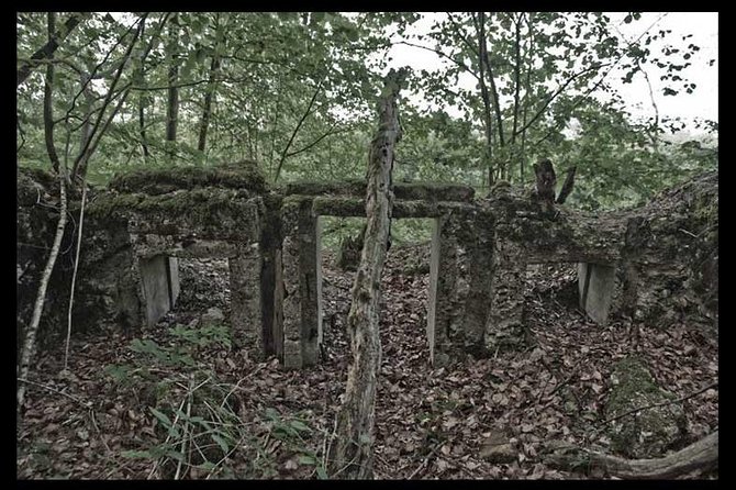 World War I Tour of Northern France; the Argonne Forest - Walking into the Argonne Forest battlefield